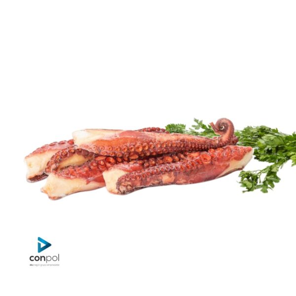 Distribuidores Alimentacion • Conpol • Patas de pulpo cocido congelado